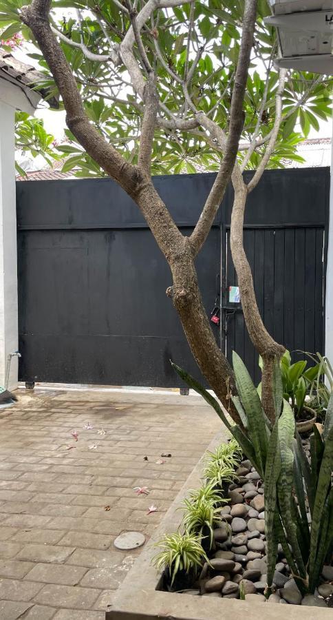 Chic And Cozy Studio Canggu  Exterior photo